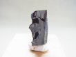 画像1: ベラルーシ産ブラヒン・パラサイト（ウィドマンシュテッテン構造付き石鉄）隕石6.2g