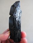 画像1: キャビネットサイズ：スカルドゥ産ブラックトルマリン原石225.8g