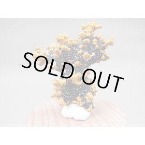 画像: ハンガリー産ロマネシュ鉱＆ゲーサイト原石7.5g