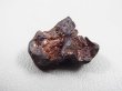 画像1: イミラック・パラサイト（石鉄）隕石 11.1g