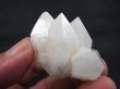 画像1: ベトナム産スノーホワイトクリスタル（ＤＴ型/ホワイトインクルージョン水晶） 43.0g