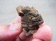 画像1: ダルネゴルスク産アルセノパイライト＆水晶原石 18.2g