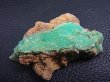 画像2: ポーランド・シュクラリ鉱山産クリソプレーズ原石（片面研磨） 26.8g
