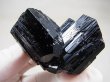 画像1: ナミビア・エロンゴ産ショールトルマリン原石（双晶） 74.3g