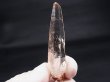 画像1: タンザニア産モンドクオーツ・レーザーポイント水晶（ネガティブ水晶入り） 13.7g