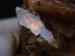 画像2: ダルネゴルスク産雲母仮晶カルサイト原石 50.2g