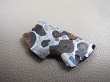 画像2: ケニア産セリコ・パラサイト隕石 4.1g