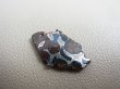 画像2: ケニア産セリコ・パラサイト隕石 2.8g
