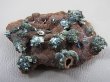 画像1: ダルネゴルスク産硫砒鉄鉱（アルセノパイライト）原石 17.1g