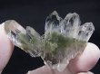 画像1: クリア・ファーデンクオーツ（クローライトファントム入り） 24.9g