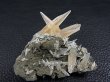 画像1: ベトナム・ダクラク省産犬牙カルサイト原石 22.0g