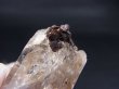 画像2: ガネーシュヒマール・ラパ産ウォータークリア水晶ポイント（ゲーサイトのカルサイト仮晶付き） 13.4g