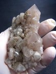 画像2: ダルネゴルスク産アメジスト＆水晶クラスター 126.3g