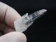 画像1: コロンビアン・レムリアンシード水晶ポイント 7.6g
