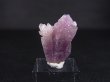 画像1: 栃木県野州鉱山産紫水晶（ツイン/インターフェレンス） 3.1g
