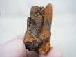 画像1: マラウイ産パリサイト＆水晶原石 32.1g