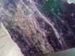画像2: ロシア産チャロアイト原石スラブ（未研磨） 172.8g
