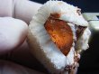 画像2: ベトナム産八面体ライトピンクフローライト原石（ドゥルージ水晶皮膜/カラーシフト） 38.4g