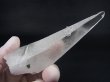 画像2: ガネーシュヒマール・リー産クローライト入り水晶ポイント 73.1g