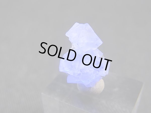 画像2: 猪倉大成鉱山産パイライト付きグリーンフローライト原石 0.7g