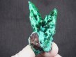 画像1: コンゴ産クリソコラ＆ダイオプテーズ（ジェムシリカ付き）ドゥルージ原石 15.0g
