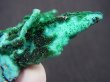 画像2: コンゴ産クリソコラ＆ダイオプテーズ（ジェムシリカ付き）ドゥルージ原石 15.0g
