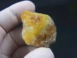 画像2: Hokkaidoite北海道然別湖産蛍光オパール原石 23.5g