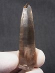 画像1: マラウイ・ムランジェ産クリアスモーキー水晶 15.1g