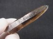 画像2: マラウイ・ムランジェ産クリアスモーキー水晶 15.1g