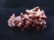 画像2: 内モンゴル産インターフェレンス水晶＆カルサイト（犬牙型）原石 11.1g