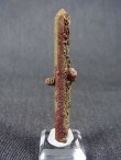 画像1: 内モンゴル産グリーン水晶原石（カルサイト/クローライト/パイライト付き） 4.0g