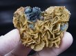 画像1: 内モンゴル自治区Yindu産ブルーフローライト（バライト共生＆パイライト付き）原石 48.0g
