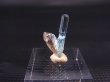 画像1: ベトナム・タインホア産アクアマリン付きスモーキー水晶 0.4g