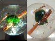 画像2: ブラジル産グリーントルマリンイン水晶丸玉 16.5mm