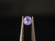 画像1: クリアランス【30％OFF 2,000円→1,400円】ベトナムLuc Yen産シルキーサファイア・ルース（ピンク） 0.1カラット