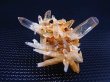 画像1: インド・マニカラン産ゴールデンヒーラー水晶（ソリューション型） 4.9g