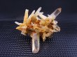 画像2: インド・マニカラン産ゴールデンヒーラー水晶（ソリューション型） 4.9g