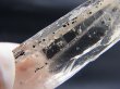 画像2: 内モンゴル産インクルージョン入りクリア水晶原石 15.1g