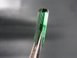 画像2: 宝石需要品質：アフガニスタン産グリーントルマリン柱状結晶 2.0カラット