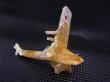 画像1: インド・マニカラン産ゴールデンヒーラー水晶（オーラ皮膜/ソリューション型） 5.3g