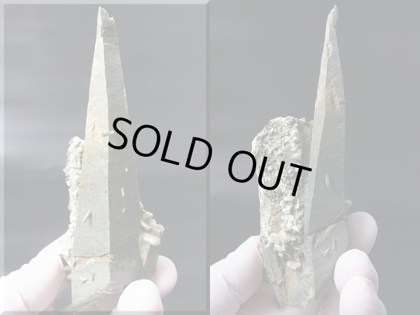 画像1: キャビネットサイズ：ガネーシュヒマール・リー産クローライト入りレーザーポイント水晶（曲がり/貫入り） 133.4g