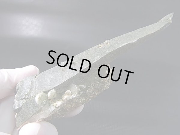 画像2: キャビネットサイズ：ガネーシュヒマール・リー産クローライト入りレーザーポイント水晶（曲がり/貫入り） 133.4g