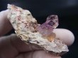 画像2: メキシコ・ソノラ州産アメジスト原石（セプター） 36.9g
