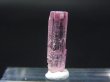 画像2: アフガニスタン産ピンクトルマリン柱状結晶 1.8カラット