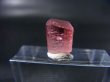 画像1: アフガニスタン産ピンクトルマリン柱状結晶 2.9カラット