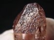 画像1: インド・ヒマラヤ・クル渓谷産アイスクリスタル/ニルバーナクオーツ（トライゴーニック付き） 21.8g