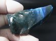 画像2: スウェーデン産ブルースラグ（スウェディッシュブル－） 55.0g