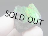 画像: カナダ・アルバータ産アンモライト原石 10.7g