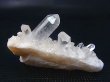 画像2: インド・マニカラン産水晶クラスター 39.0g