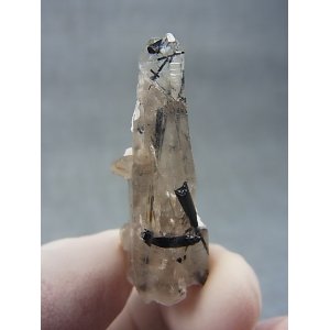 画像: 広西チワン族自治区産インターフェレンス（ブラックトルマリン）水晶 6.4g